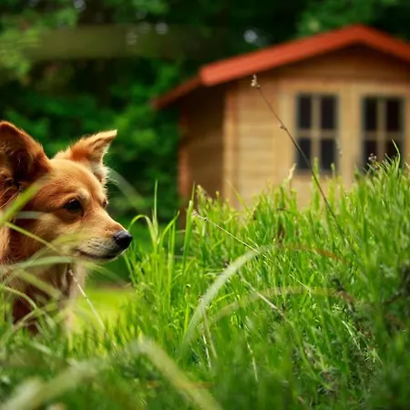 Lägenhet Sonnensegel *