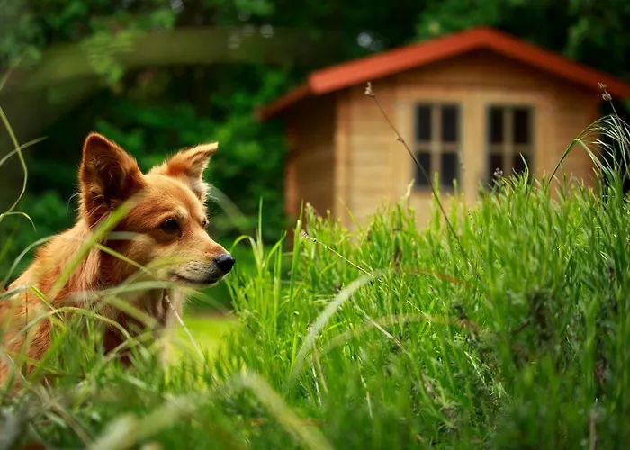 Appartamento Sonnensegel *